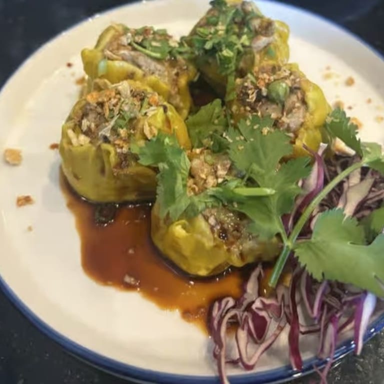 Savor Our Dumplings